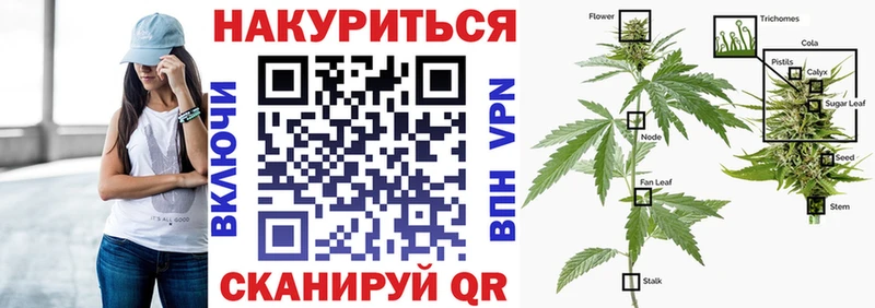 Бошки марихуана план Ессентукская